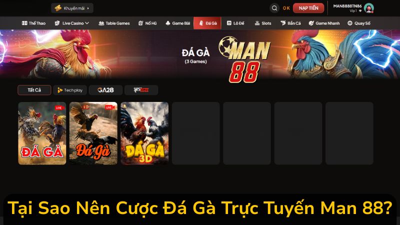 Hướng Dẫn Cách Tham Gia Cược Đá Gà Trực Tuyến Man 88 Nhanh Chóng
