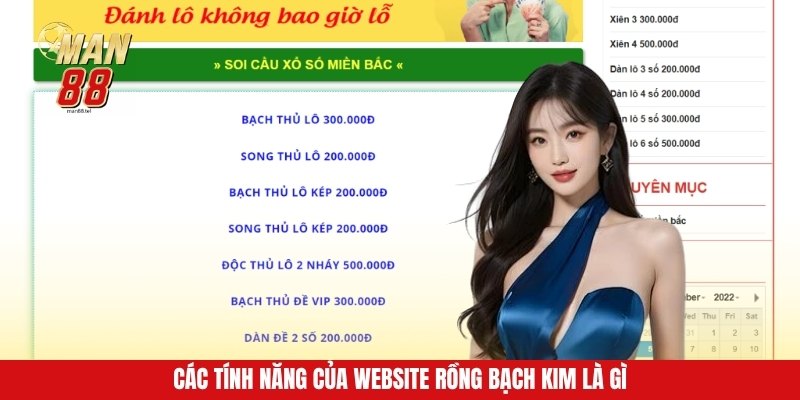 Các tính năng của website rồng bạch kim là gì