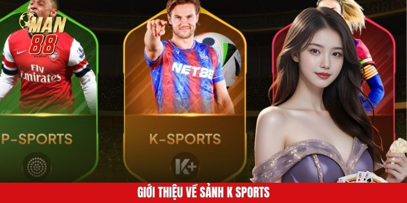 gioi-thieu-ve-sanh-k-sports