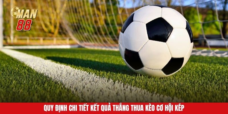 Quy định chi tiết kết quả thắng thua kèo cơ hội kép
