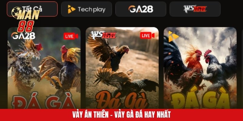 Vảy Án Thiên - Vảy gà đá hay nhất