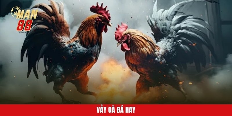 vay-ga-da-hay