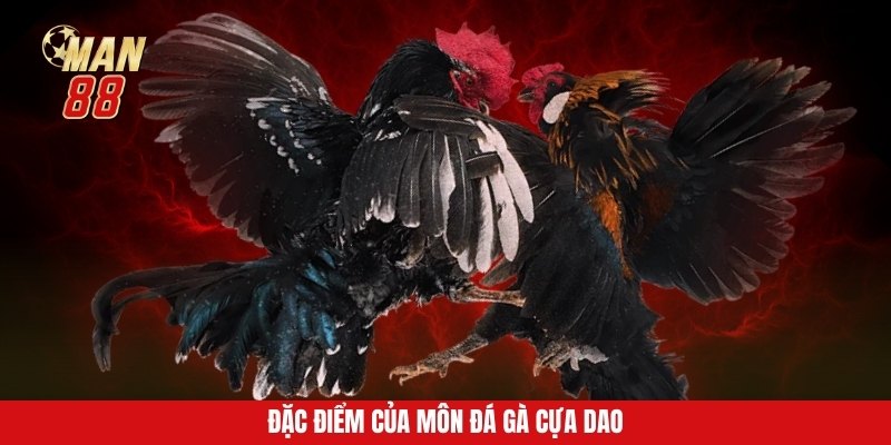 Đặc điểm của môn đá gà cựa dao